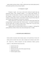 Pajamų nelygybė. Pajamų nelygybės reguliavimas 6 puslapis