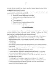 Pajamų nelygybė. Pajamų nelygybės reguliavimas 8 puslapis