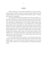 Pakavimas  ir jo esmė 2 puslapis