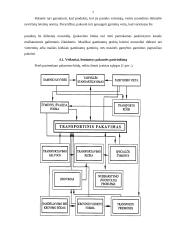 Pakavimas  ir jo esmė 7 puslapis