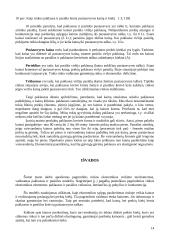 Paklausos ir pasiūlos principai 14 puslapis