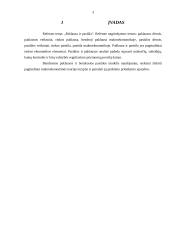 Paklausa, pasiūla ir paklausos bei pasiūlos analizė 2 puslapis