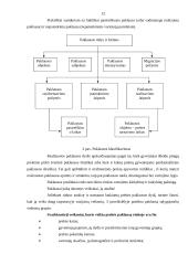 Paklausa, pasiūla ir paklausos bei pasiūlos analizė 11 puslapis