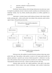 Paklausa, pasiūla ir paklausos bei pasiūlos analizė 12 puslapis