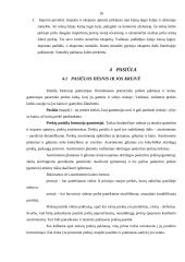 Paklausa, pasiūla ir paklausos bei pasiūlos analizė 15 puslapis