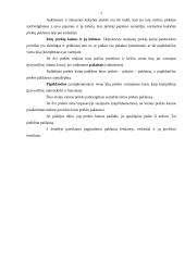 Paklausa, pasiūla ir paklausos bei pasiūlos analizė 6 puslapis