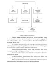 Paklausa, pasiūla ir paklausos bei pasiūlos analizė 10 puslapis