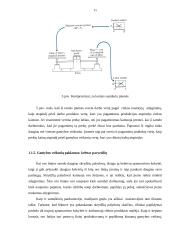 Paklausa konkurencinėse gamybos veiksnių rinkose 11 puslapis
