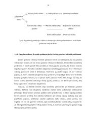 Paklausa konkurencinėse gamybos veiksnių rinkose 16 puslapis