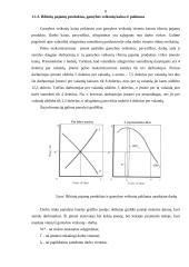 Paklausa konkurencinėse gamybos veiksnių rinkose 8 puslapis