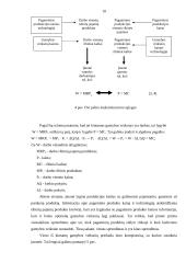 Paklausa konkurencinėse gamybos veiksnių rinkose 10 puslapis