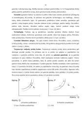 Paklausos ir pasiūlos teorijos praktinis taikymas 14 puslapis