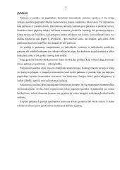 Paklausos ir pasiūlos teorijos praktinis taikymas 3 puslapis