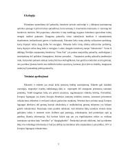 Prekės pakuotė 5 puslapis