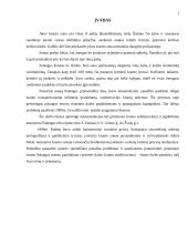 Palangos kranto stabilizavimo problema 2 puslapis