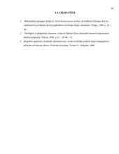 Palangos kranto stabilizavimo problema 11 puslapis