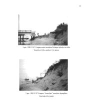 Palangos kranto stabilizavimo problema 13 puslapis