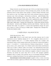 Palangos kranto stabilizavimo problema 3 puslapis