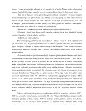 Palangos kranto stabilizavimo problema 6 puslapis