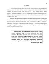 Palangos kranto stabilizavimo problema 9 puslapis