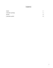 Palanki sveikatai aplinka 2 puslapis