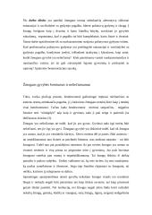 Paliatyvus gydymas – alternatyva eutanazijai 3 puslapis