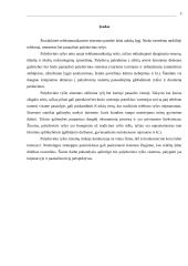 Palydovinės sistemos 2 puslapis