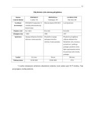 Palydovinės sistemos 11 puslapis