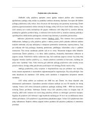 Palydovinės sistemos 3 puslapis