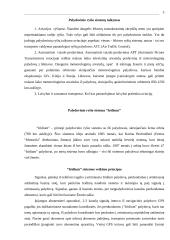 Palydovinės sistemos 4 puslapis