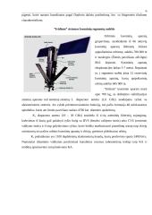 Palydovinės sistemos 5 puslapis