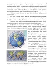 Palydovinės sistemos 8 puslapis