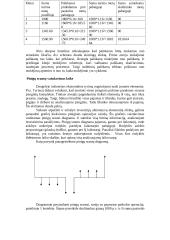Paprastos ir sudėtinės palūkanos 3 puslapis