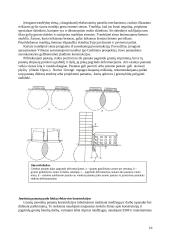 Pamatų montavimas 16 puslapis