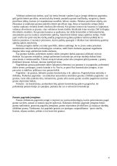 Pamatų montavimas 4 puslapis