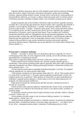 Pamatų montavimas 5 puslapis