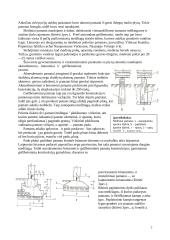 Pamatų montavimas 7 puslapis