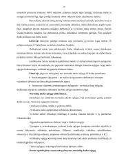 Papildomas darbo apmokėjimas 18 puslapis