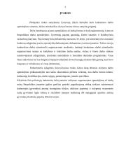 Papildomas darbo apmokėjimas 3 puslapis