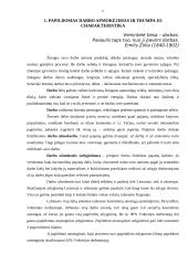 Papildomas darbo apmokėjimas 5 puslapis