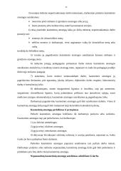 Papildomas darbo apmokėjimas 10 puslapis
