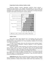 Parama šeimai, auginančiai vaikus 5 puslapis