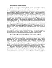 Parama šeimai, auginančiai vaikus 8 puslapis