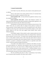 Pardavimo plano sudarymas: UAB "Medva" 2 puslapis