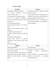 Pardavimo plano sudarymas: UAB "Medva" 11 puslapis