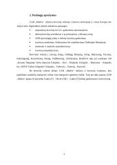 Pardavimo plano sudarymas: UAB "Medva" 3 puslapis