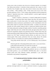 Pardavimų skatinimas prekybos centruose 13 puslapis