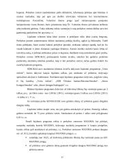 Pardavimų skatinimas prekybos centruose 17 puslapis