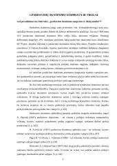 Pardavimų skatinimas prekybos centruose 3 puslapis