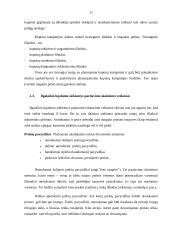 Pardavimų skatinimo tobulinimas 11 puslapis